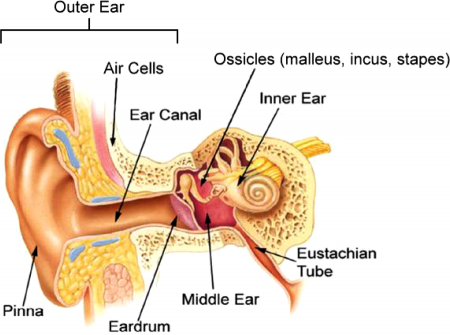 Myringotomy And Grommet Insertion – Dr.Gauri Belsare